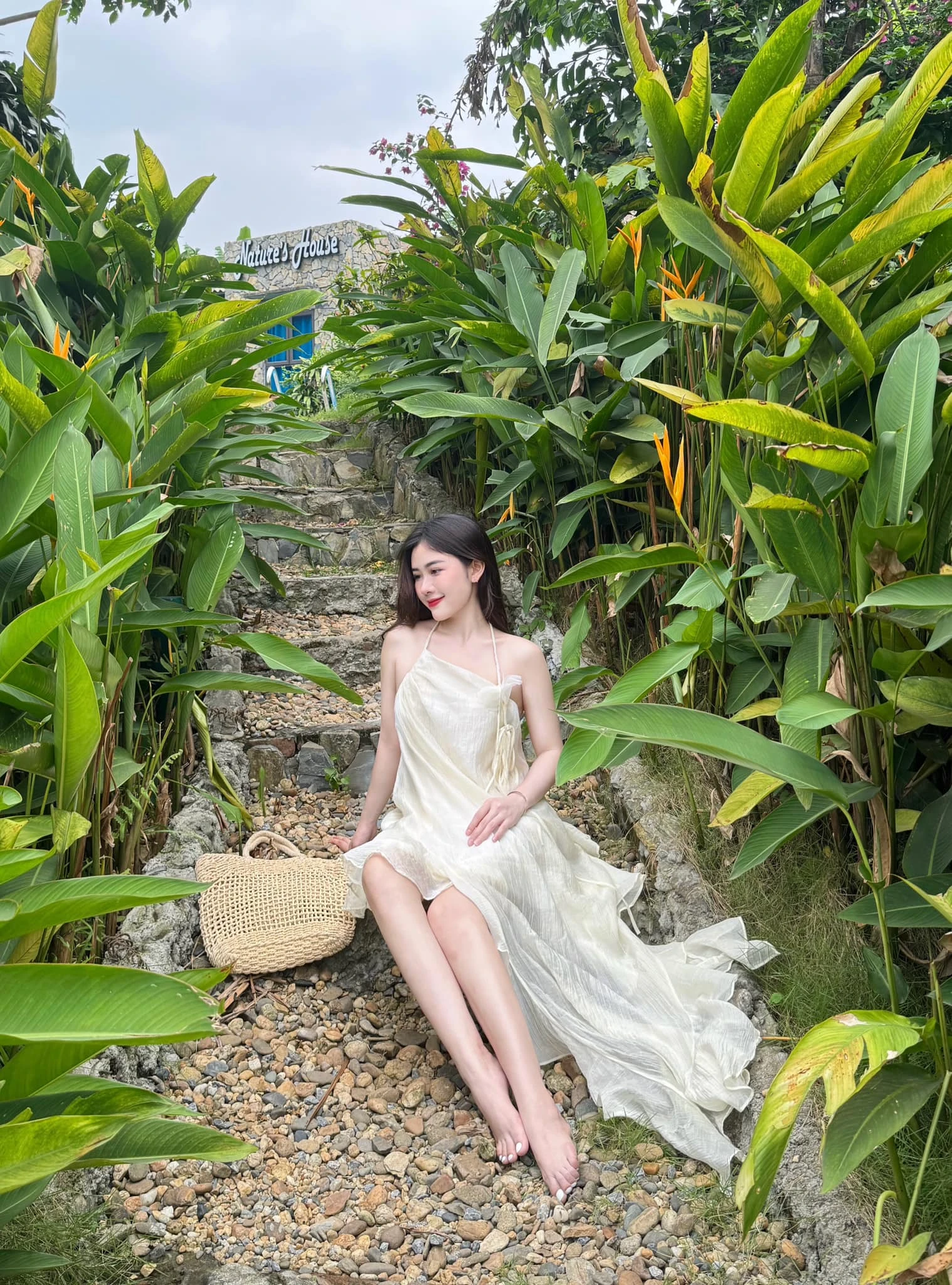 Chu hạ an 1 Chu hạ an 1